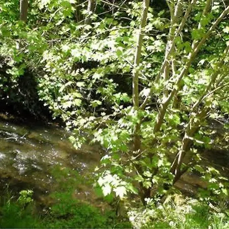 호텔 Burgschanke 빈닌겐