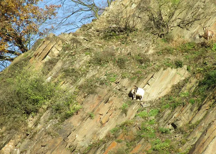 Burgschanke Winningen