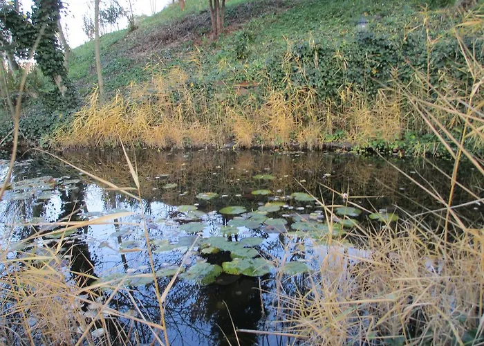 Burgschanke Hotel Winningen